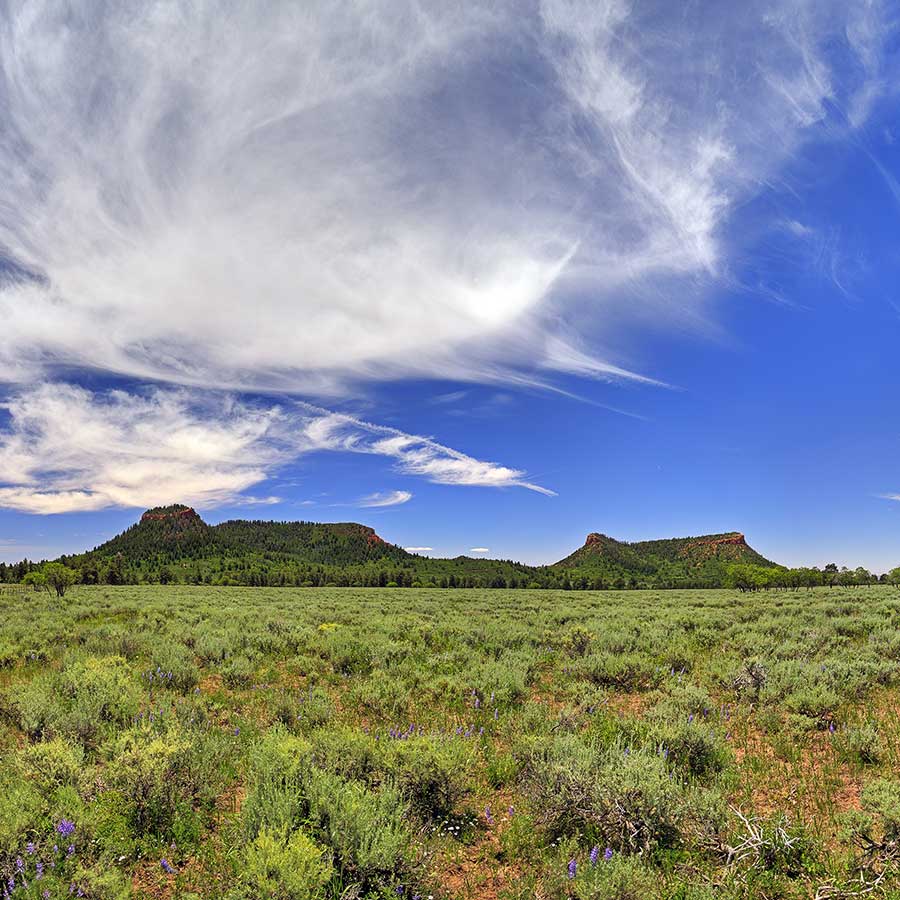 Bears Ears buttes with blue skies and clouds.