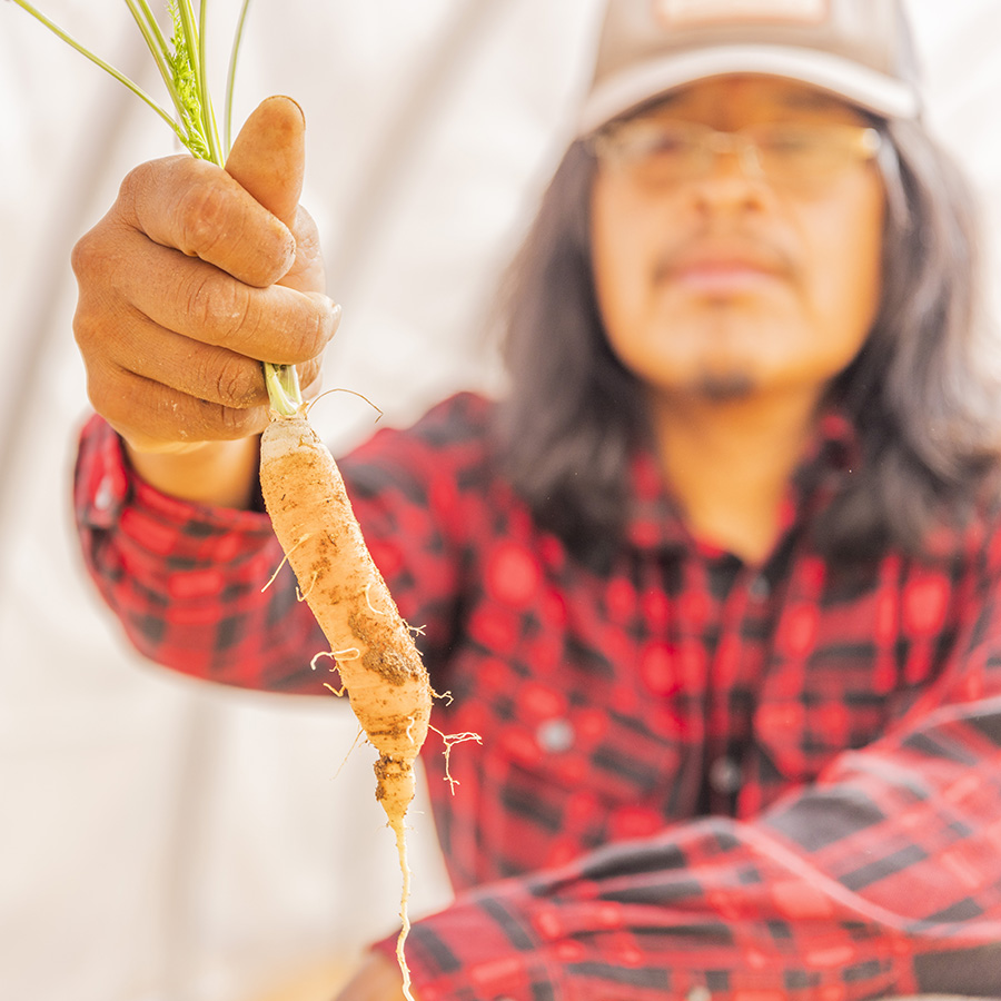Navajo farmer Artie Yazzie shows off a carrot that he grew, farming is key part of supporting Native economies
