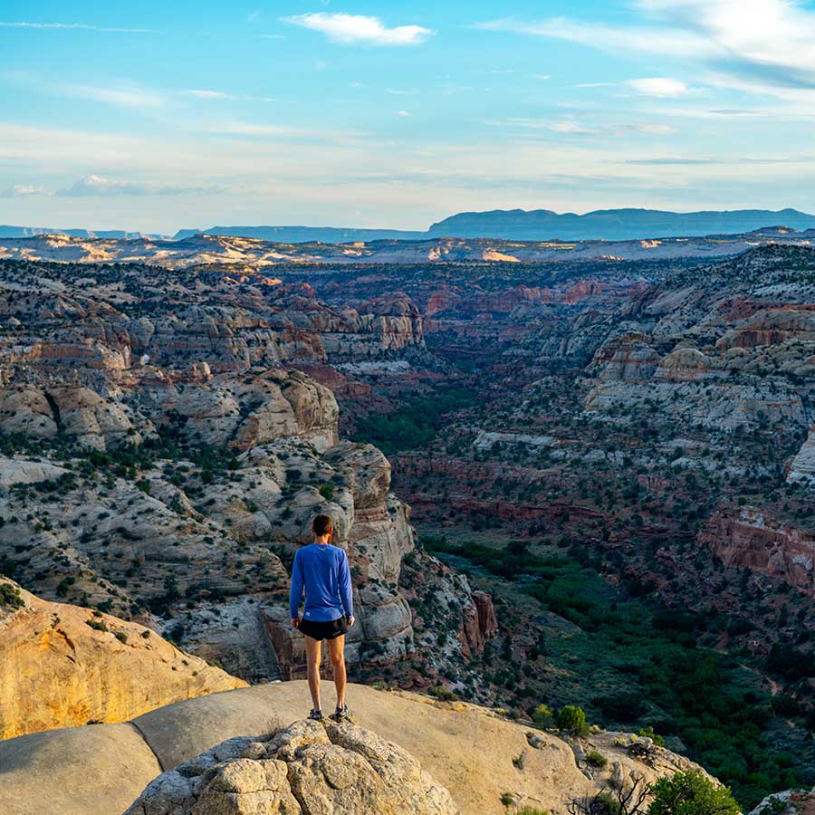 A man in a blue shirt stands on yellow rock overlooking a valley in Grand Staircase-Escalante National Monument