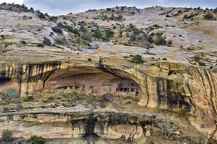 Ancient cliff dwellings stand resiliently in a large rock alcove, surrounded by rugged terrain and sparse vegetation.